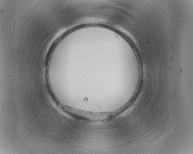 X0000077371029200611171944