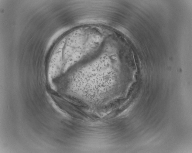 X0000077371030200611171944