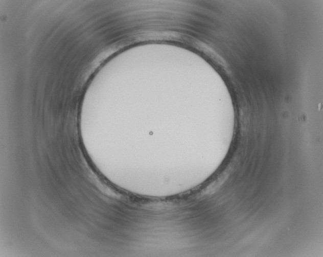 X0000077371033200611171944