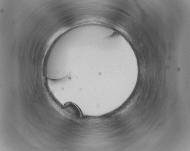 X0000077371034200611171944