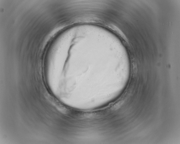 X0000077371035200611171944