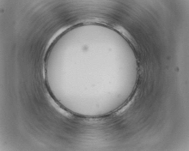 X0000077371036200611171944