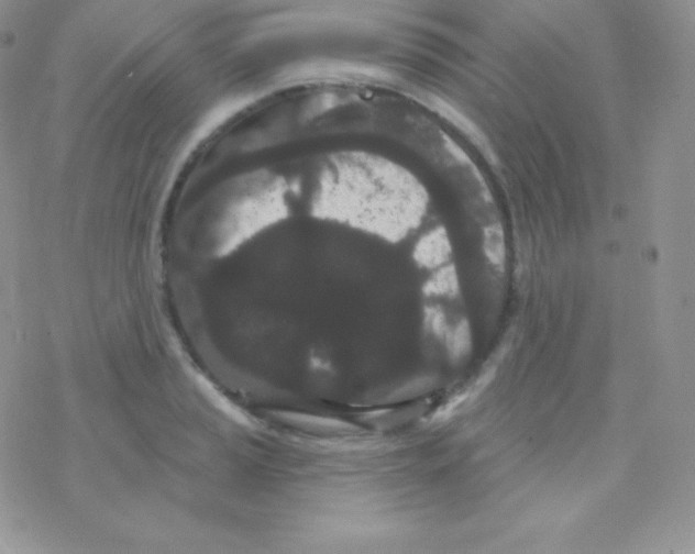 X0000077371037200611171944