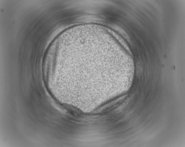 X0000077371039200611171944