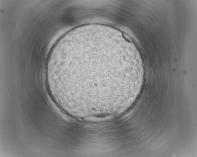 X0000077371040200611171944