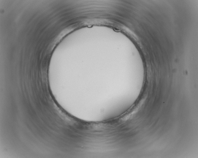 X0000077371041200611171944