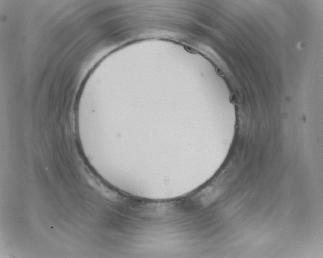 X0000077371044200611171944