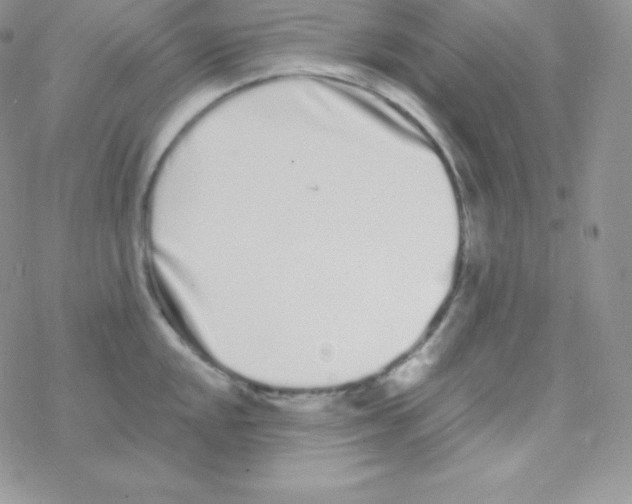 X0000077371048200611171944