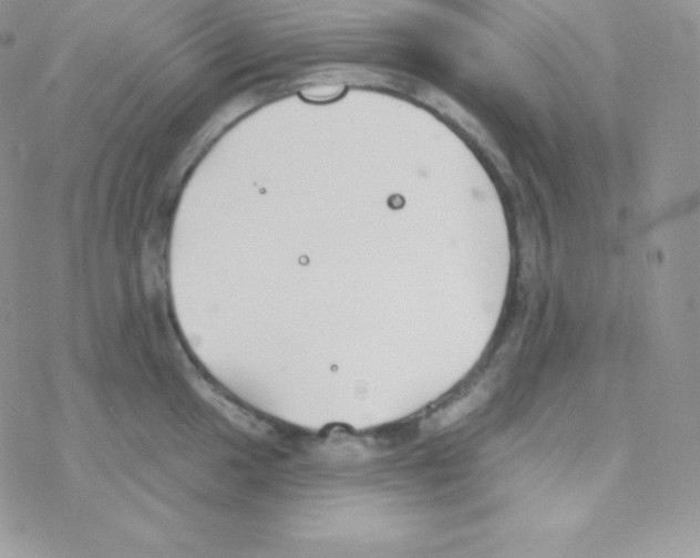 X0000077371049200611171944