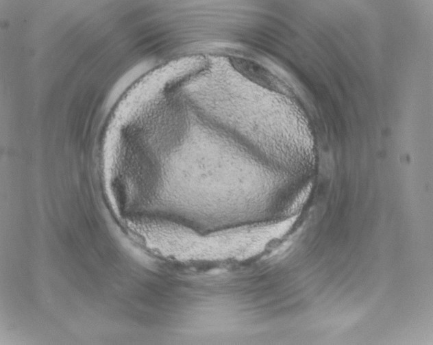 X0000077371050200611171944