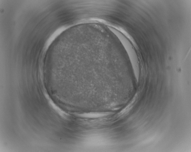 X0000077371054200611171944