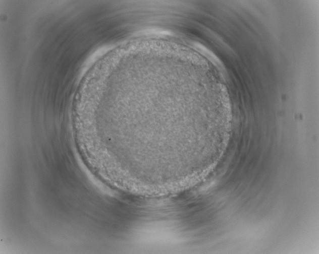 X0000077371055200611171944