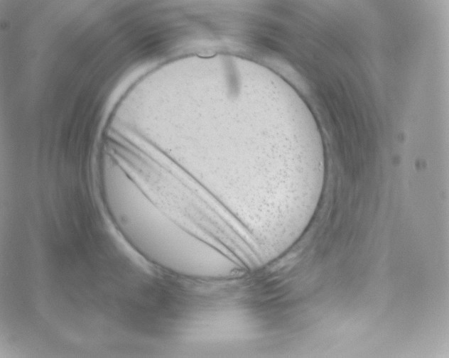 X0000077371056200611171944