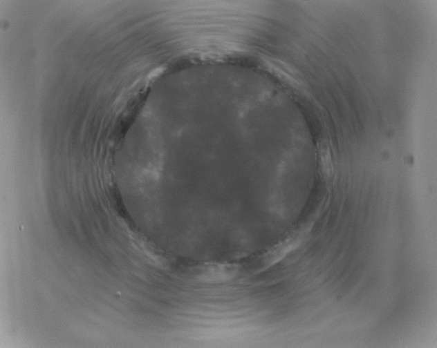 X0000077371060200611171943