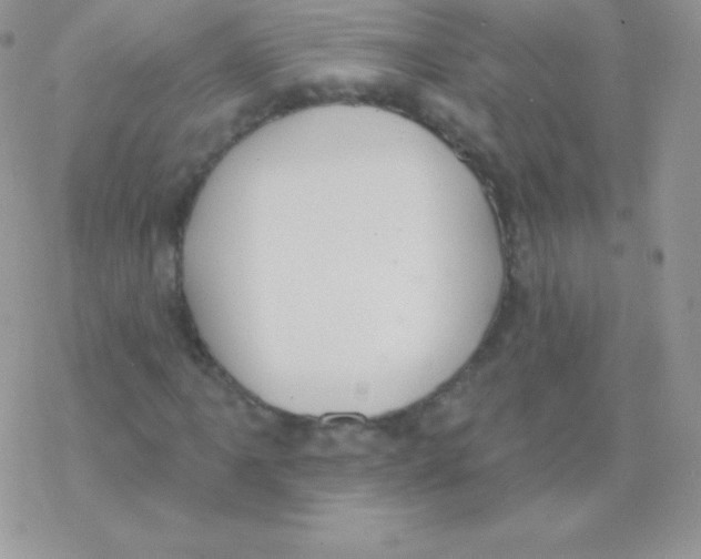 X0000077371061200611171943