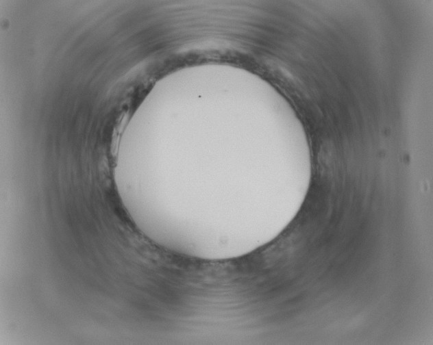 X0000077371062200611171943