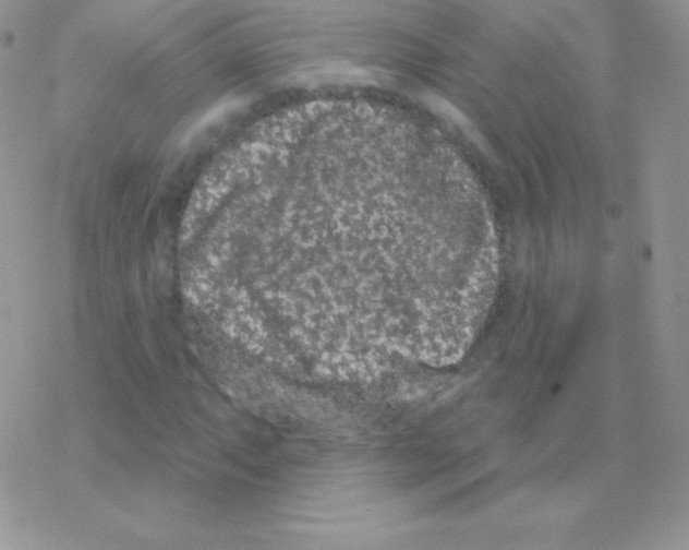 X0000077371063200611171943