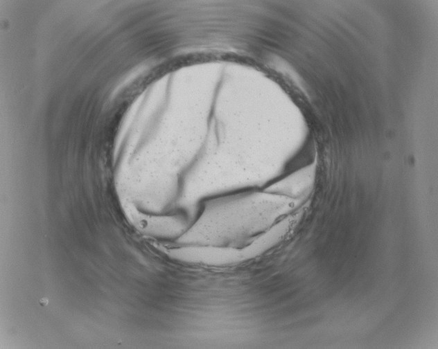 X0000077371064200611171943