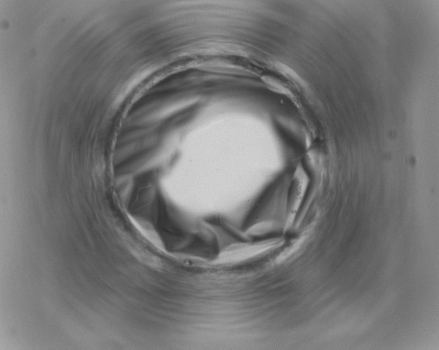 X0000077371065200611171943