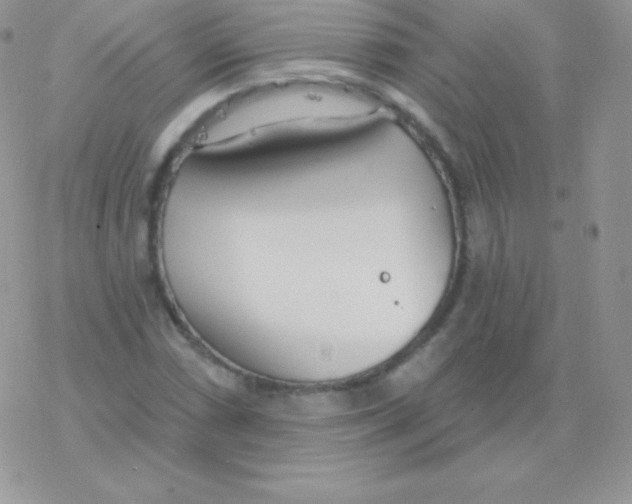 X0000077371066200611171943