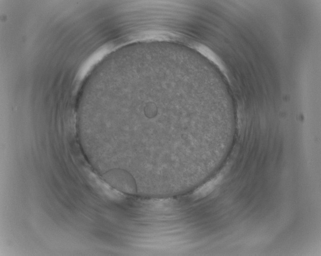 X0000077371067200611171943