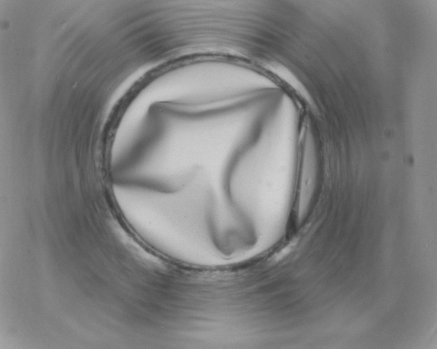 X0000077371068200611171943