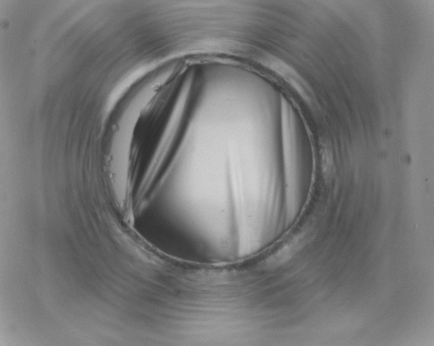 X0000077371069200611171943