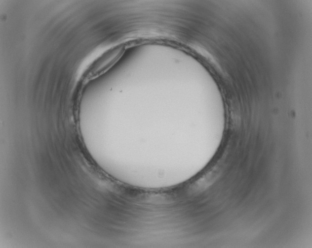 X0000077371070200611171943