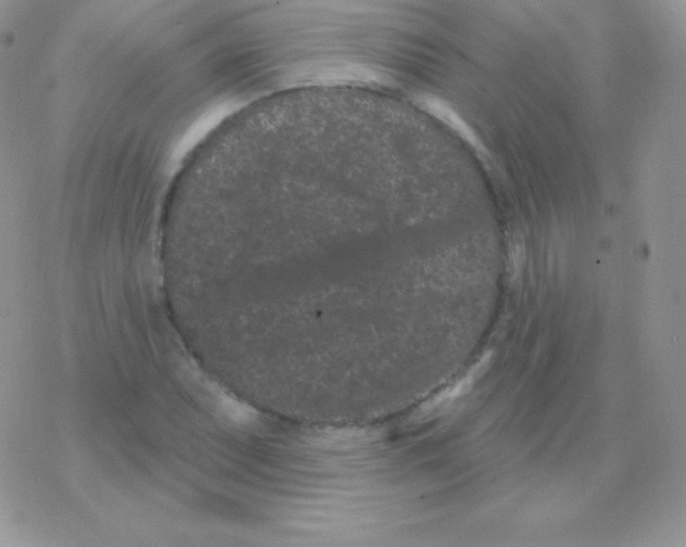 X0000077371071200611171943