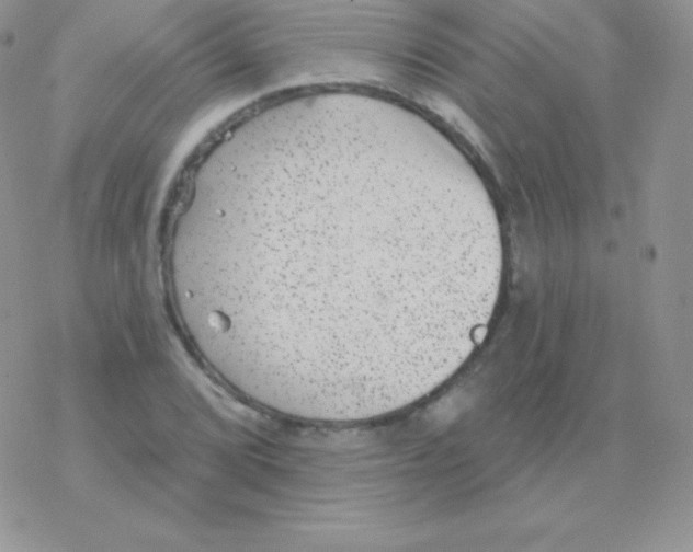 X0000077371072200611171943