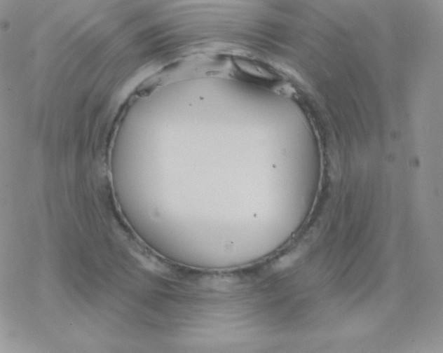 X0000077371073200611171943