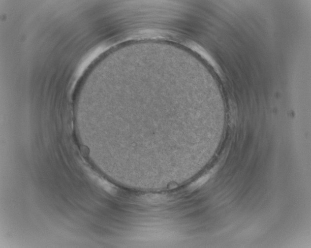 X0000077371075200611171943