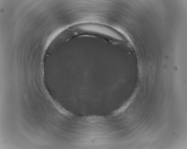 X0000077371077200611171943