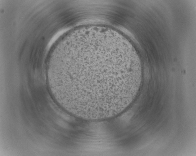 X0000077371078200611171943