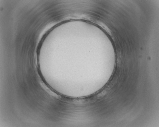 X0000077371080200611171943