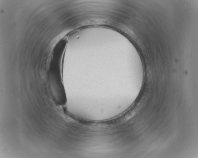 X0000077371081200611171943