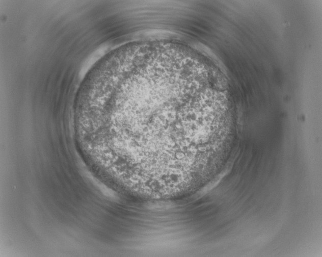 X0000077371083200611171943