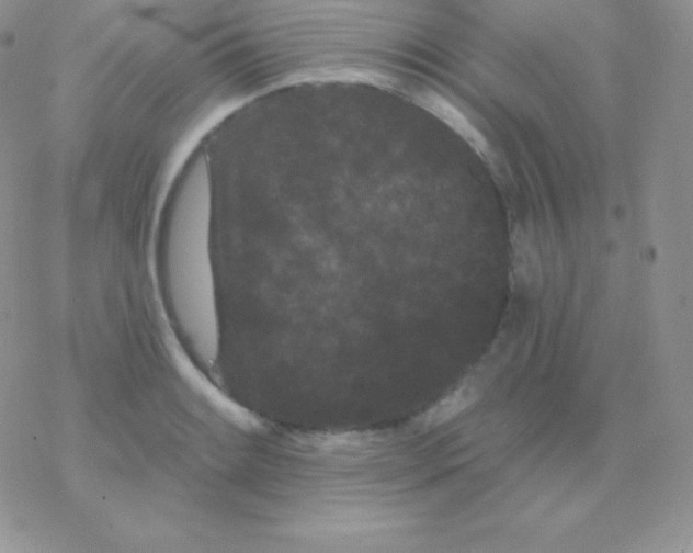 X0000077371084200611171943