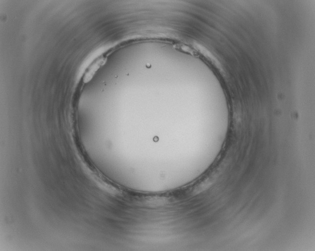 X0000077371085200611171943