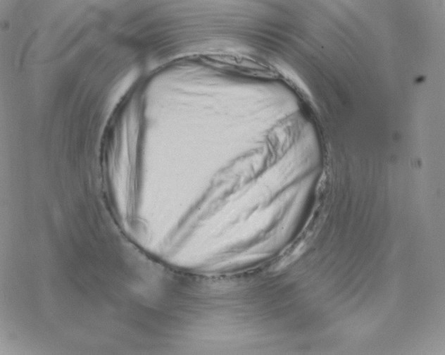 X0000077371087200611171943