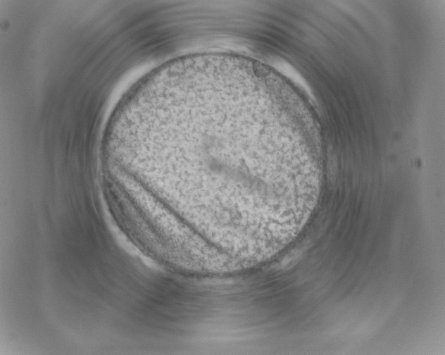 X0000077371088200611171943