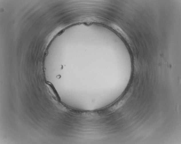 X0000077371089200611171943