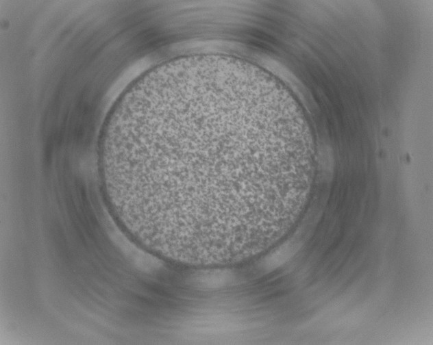 X0000077371090200611171943