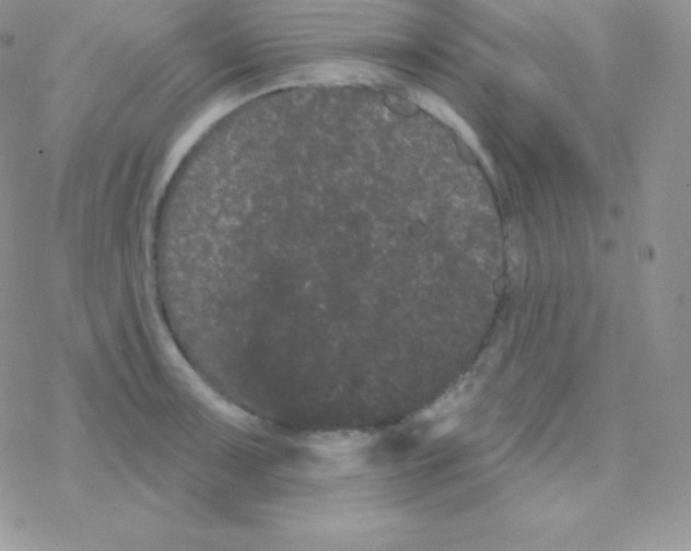 X0000077371091200611171943