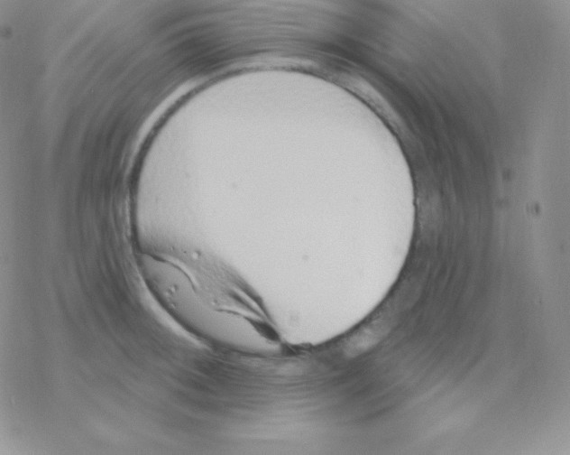 X0000077371092200611171943