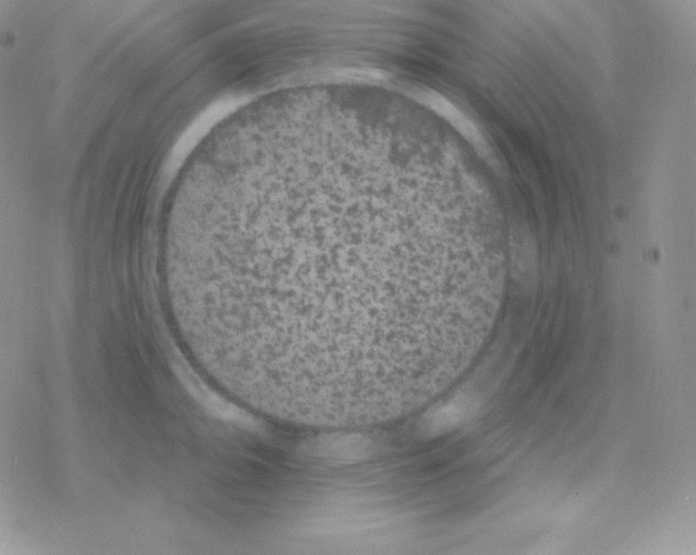 X0000077371094200611171943