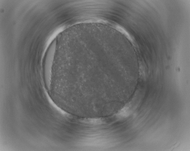 X0000077371095200611171943