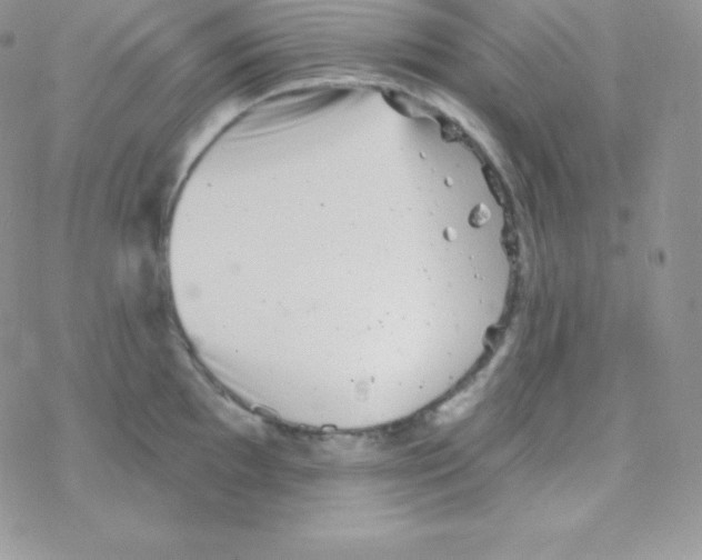 X0000077371097200611171943