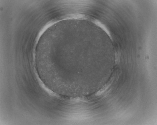 X0000077371099200611171943