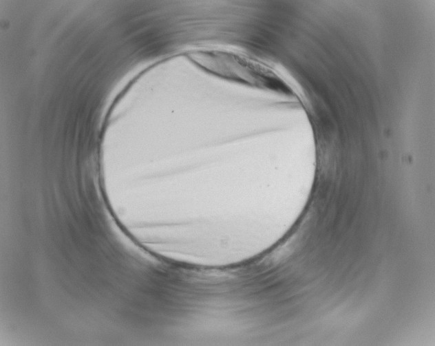 X0000077371100200611171943